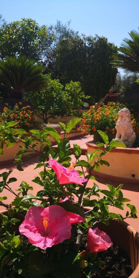 Hotel Villa Igea Sorrento Exterior foto